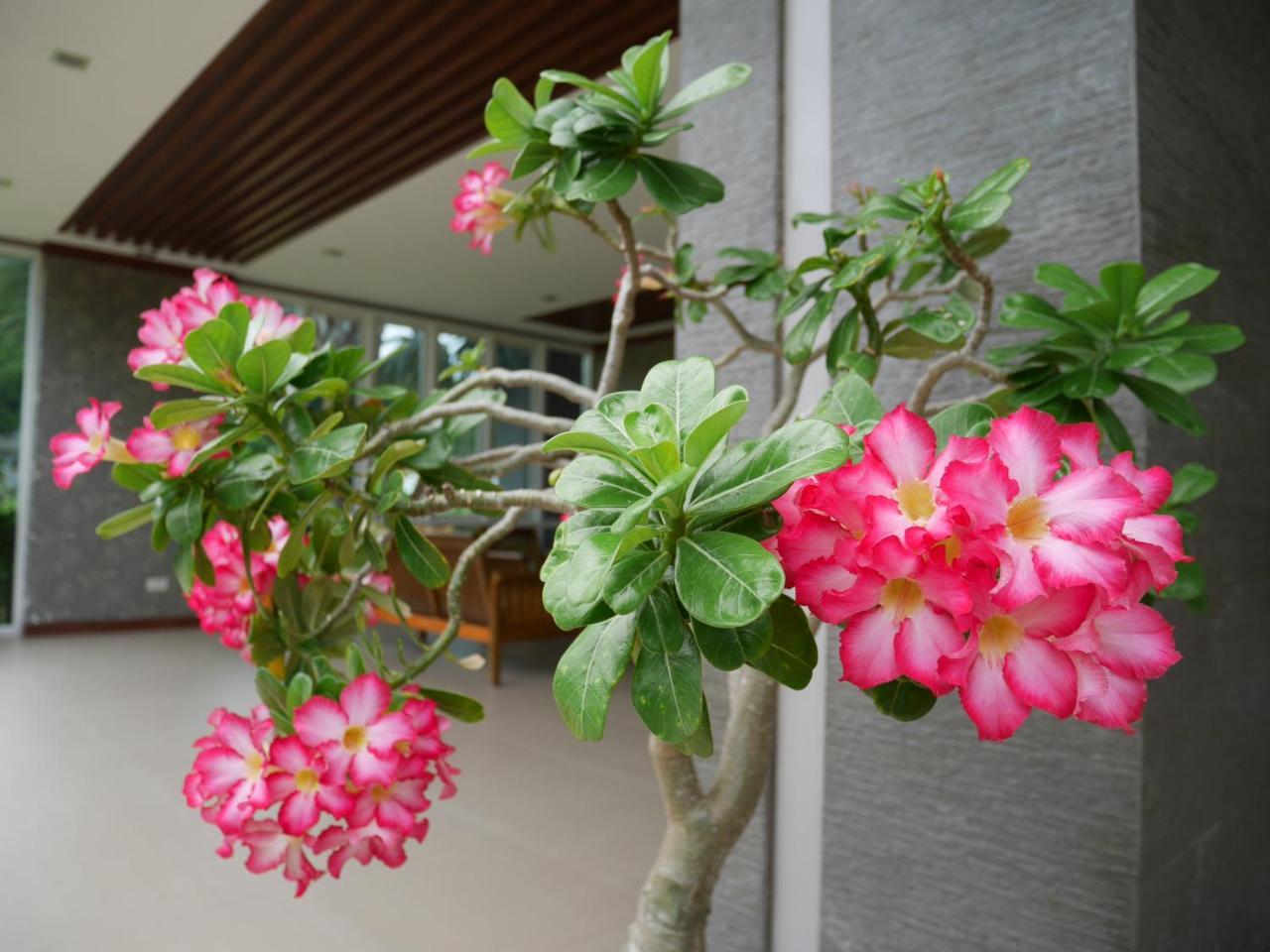 Gypsy Sea View Resort- Phi Phi Island Exterior photo